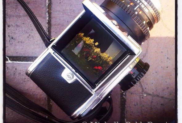 mediumformat